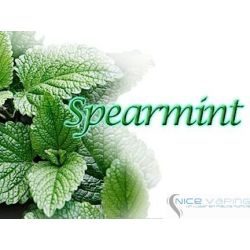 Spearmint Premium