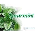 Spearmint Premium