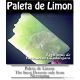 Paleta de Limon Premium