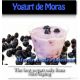 Blueberry Yogurt Premium