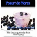 Blueberry Greek Yogurt Premium