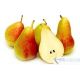 Pear Premium