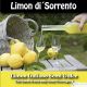 Lemon di´Sorrento Premium