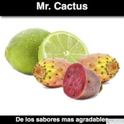 Mr. Cactus