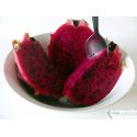 Dragon Fruit Premium